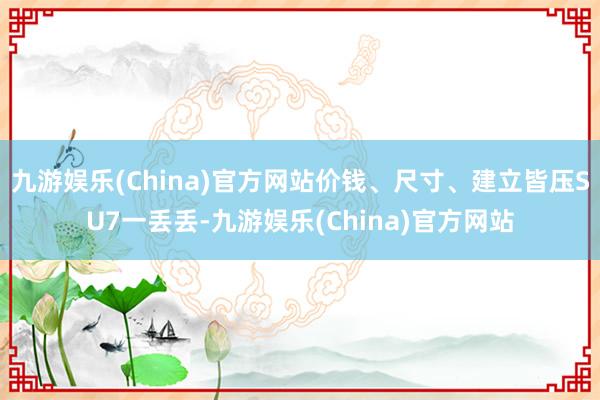 九游娱乐(China)官方网站价钱、尺寸、建立皆压SU7一丢丢-九游娱乐(China)官方网站