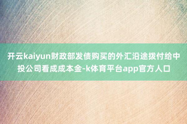 开云kaiyun财政部发债购买的外汇沿途拨付给中投公司看成成本金-k体育平台app官方人口