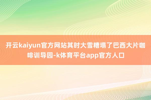 开云kaiyun官方网站其时大雪糟塌了巴西大片咖啡训导园-k体育平台app官方人口