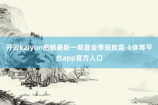 开云kaiyun把柄最新一期基金季报败露-k体育平台app官方人口